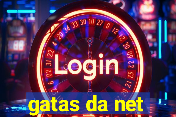 gatas da net